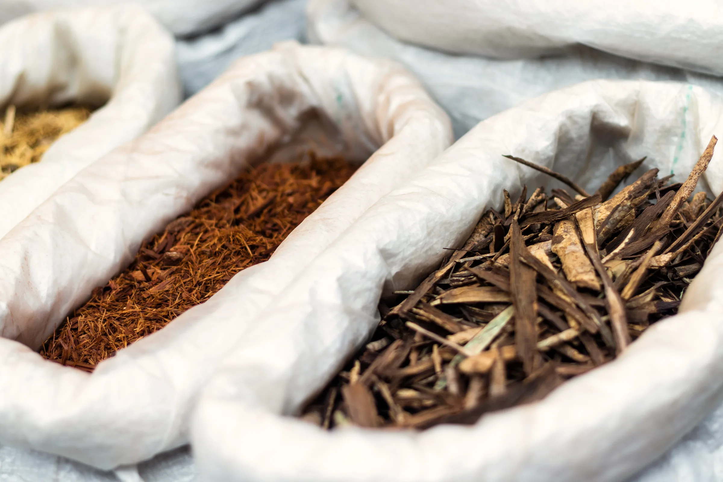 Dried herbs and roots being weighed on a brass scale