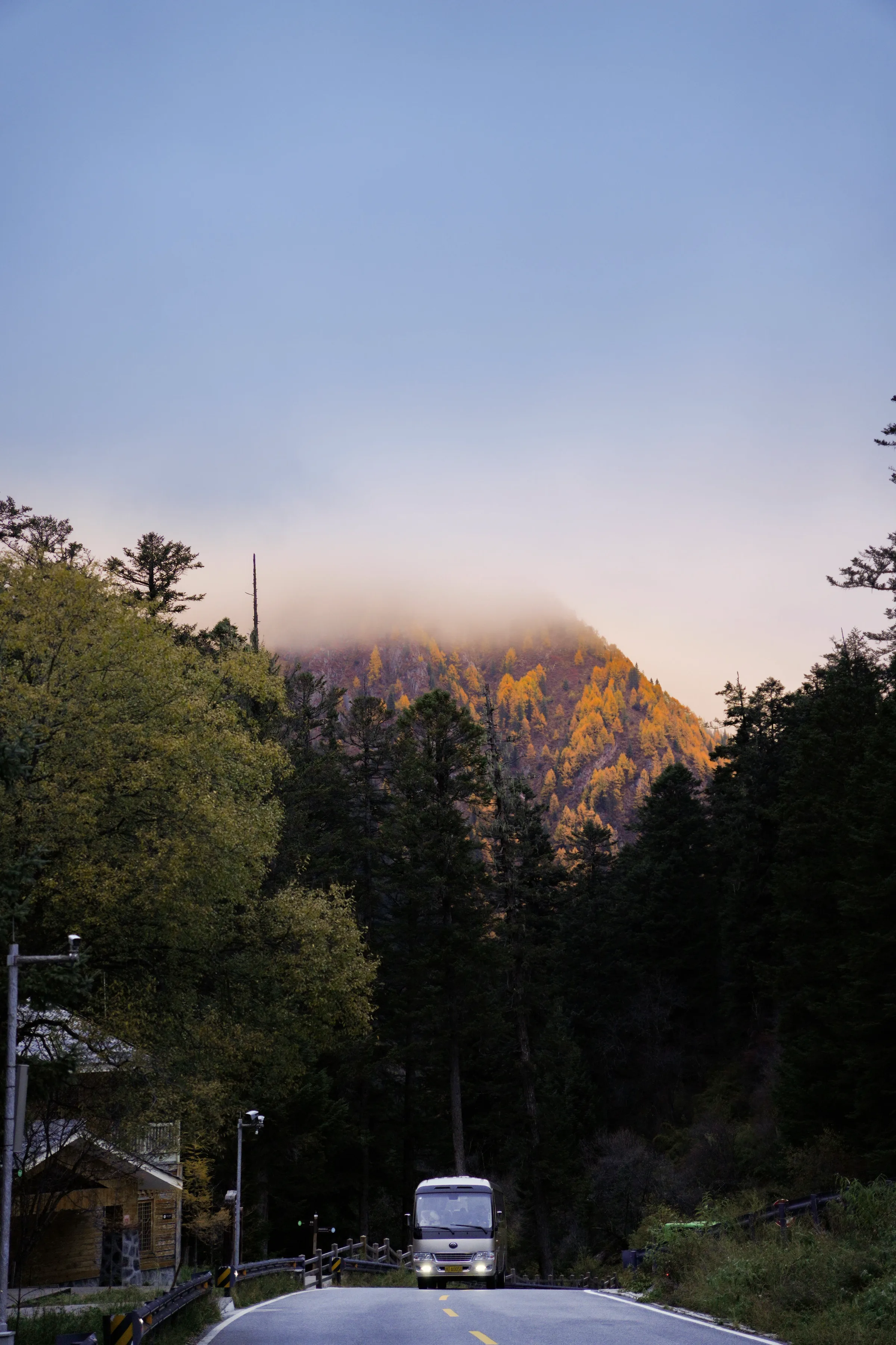 Pine-covered ridges catching low light through cloud