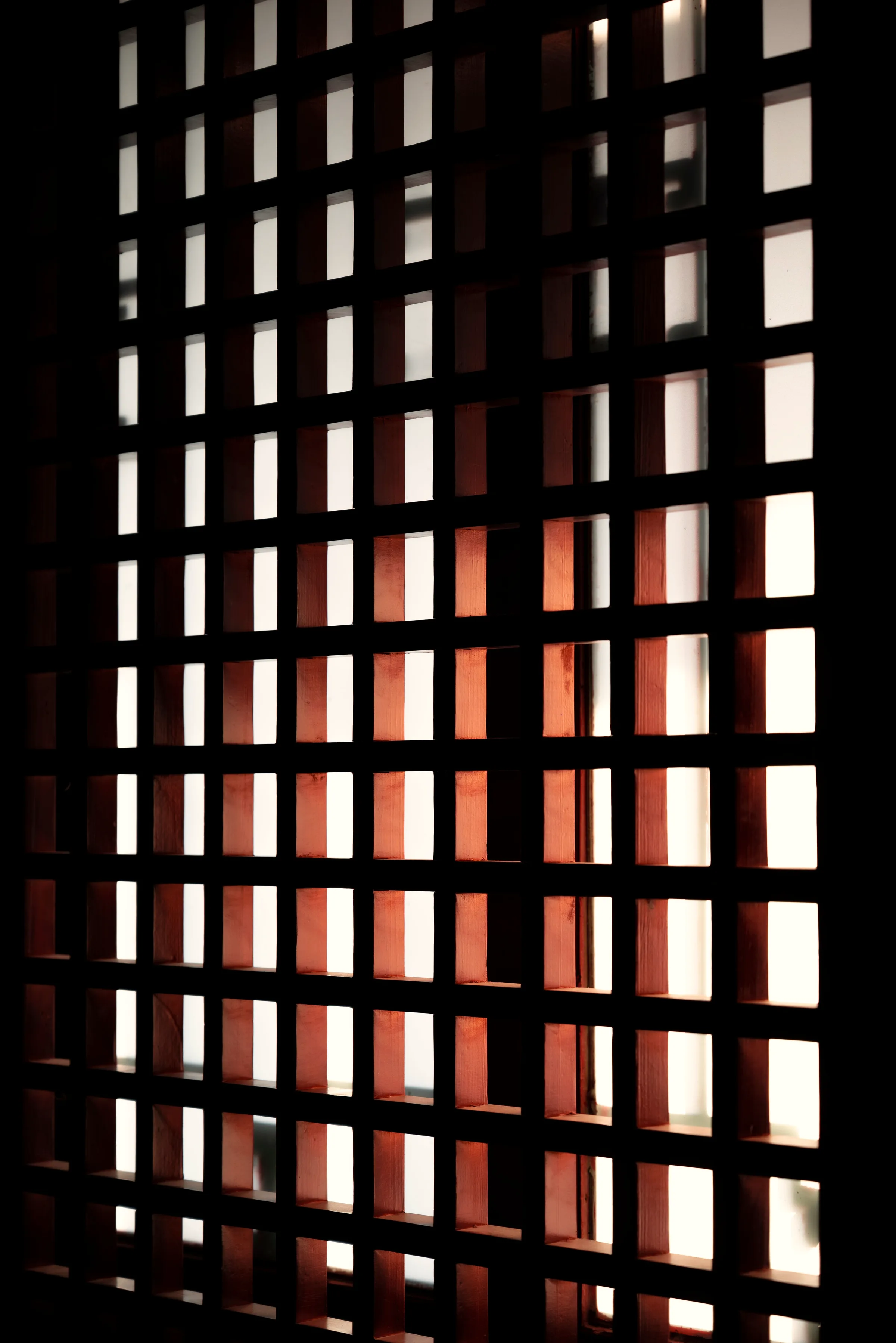 Warm light falling through a dark timber lattice screen